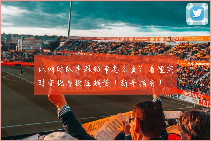 比利时队夺冠赔率怎么查？看懂实时变化与投注趋势（新手指南）
