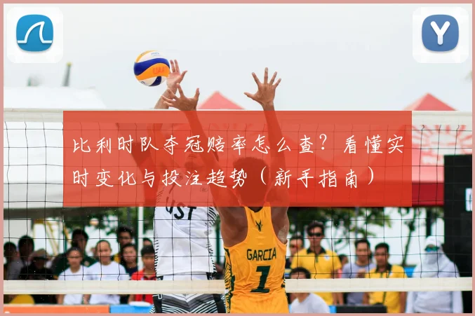 比利时队夺冠赔率怎么查?看懂实时变化与投注趋势(新手指南)